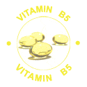 Vitamin B5 / Panthenol