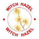 Witch Hazel